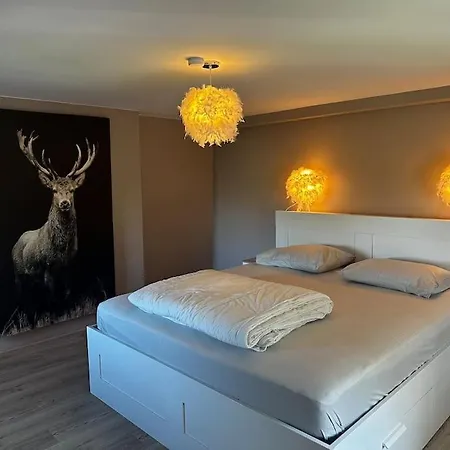 Le Petit Nid De Zoe * Lierneux